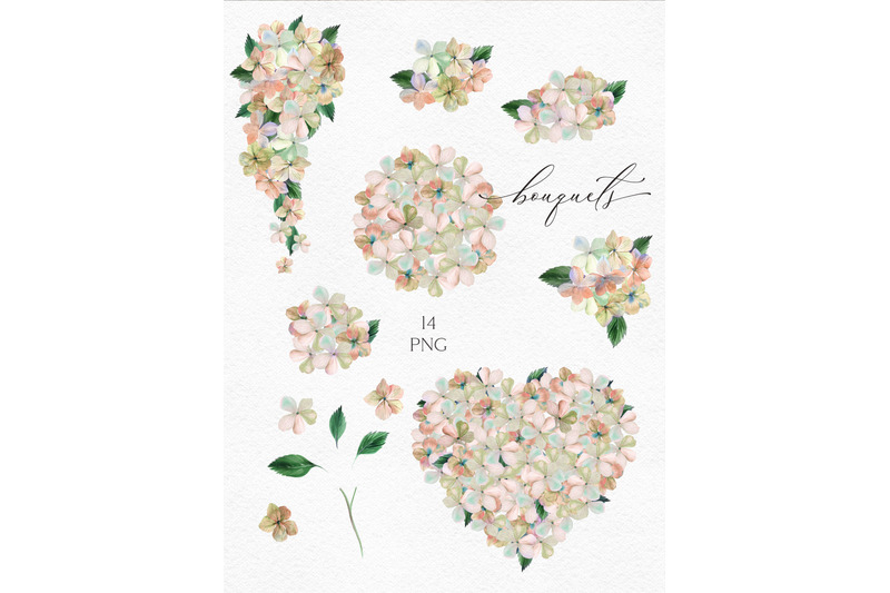 watercolor-hydrangea-png-hand-drawn-dried-flower-bouquet-clipart