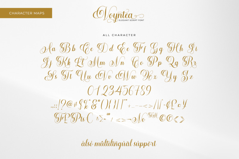 voyntea-beautiful-calligraphy-font