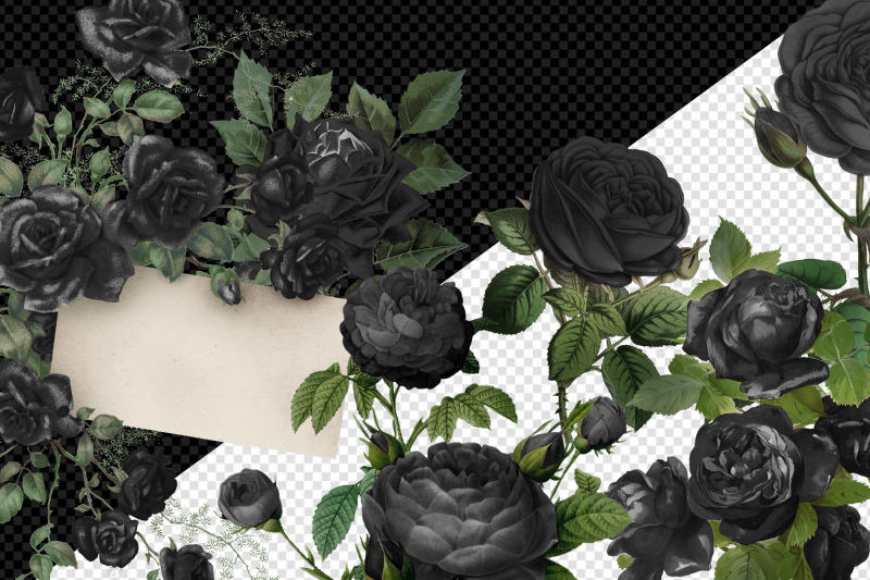 vintage-black-roses-clipart