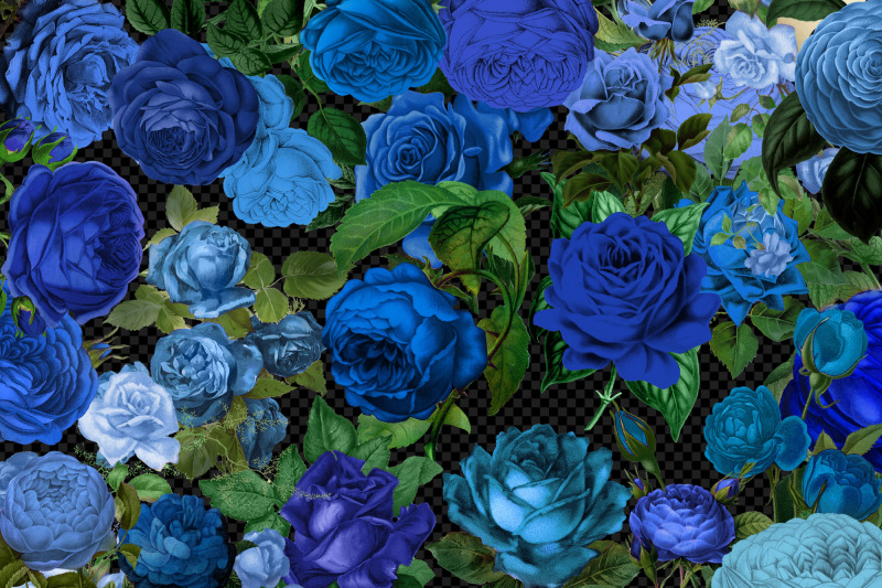 vintage-blue-roses-clipart