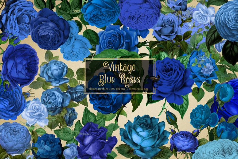 vintage-blue-roses-clipart