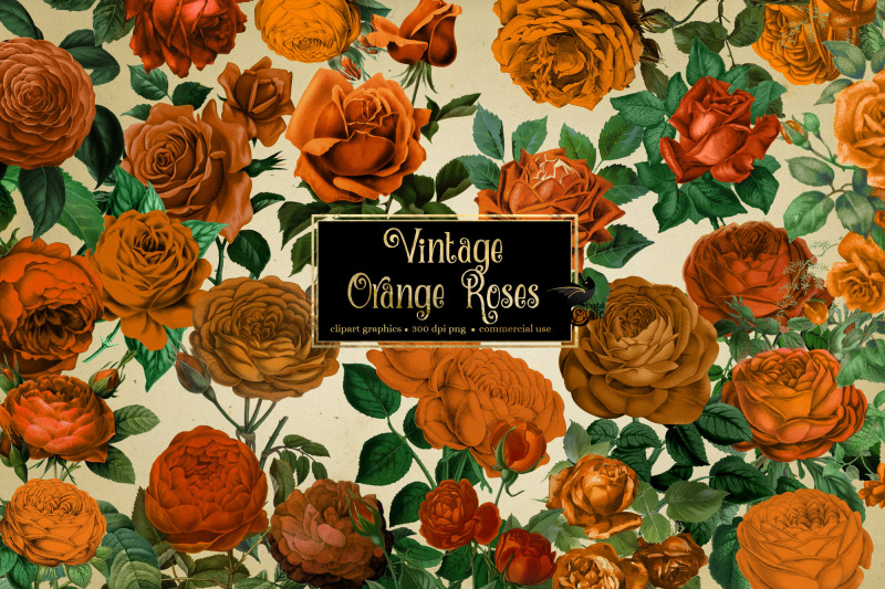 vintage-orange-roses-clipart