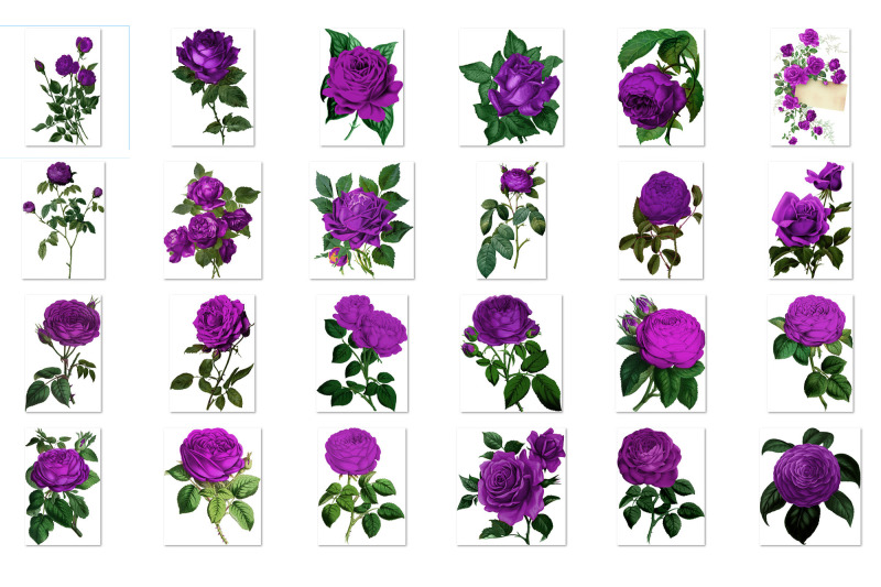 vintage-purple-roses-clipart