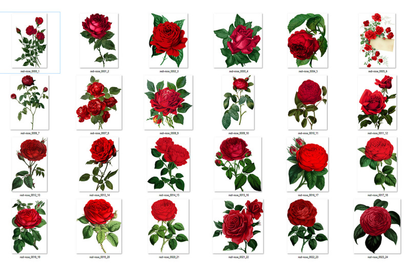 vintage-red-roses-clipart
