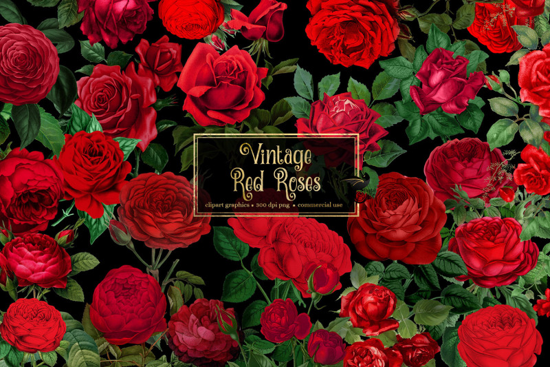 vintage-red-roses-clipart