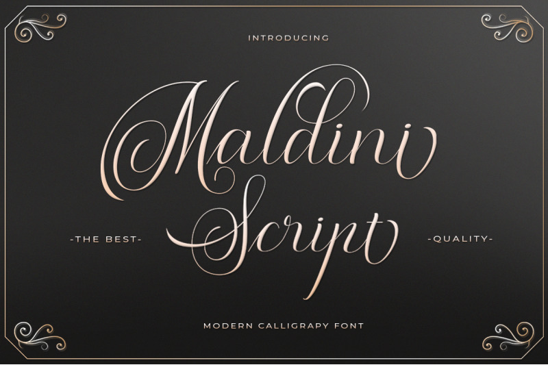 Maldini Script Font By Max Co Thehungryjpeg Com