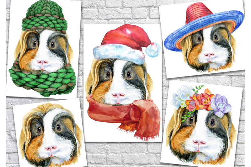 cute-watercolor-guinea-pig