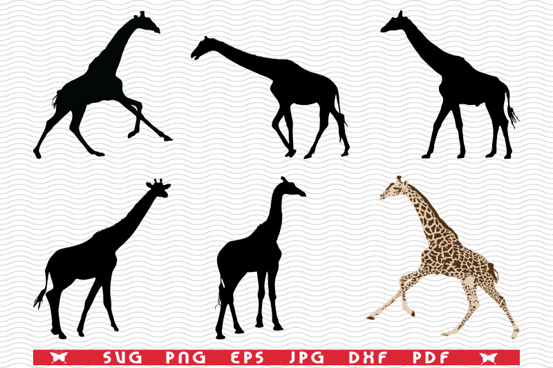 svg-giraffes-black-silhouettes-digital-clipart