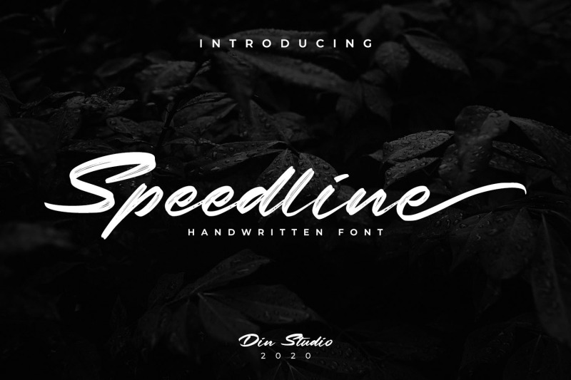 speedline-beautiful-brush-font