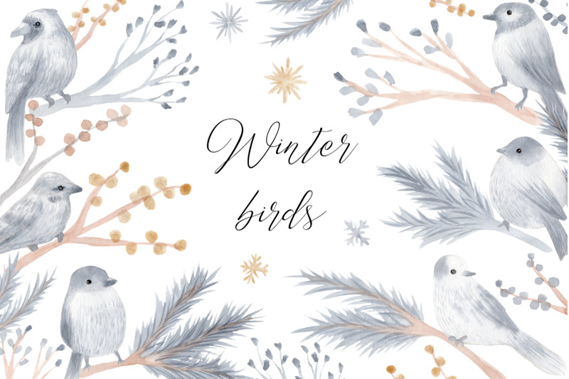 watercolor-winter-birds-christmas-cliparts-and-patterns
