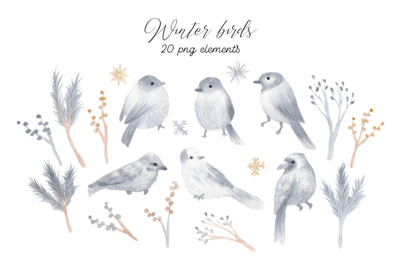 watercolor-winter-birds-christmas-cliparts-and-patterns