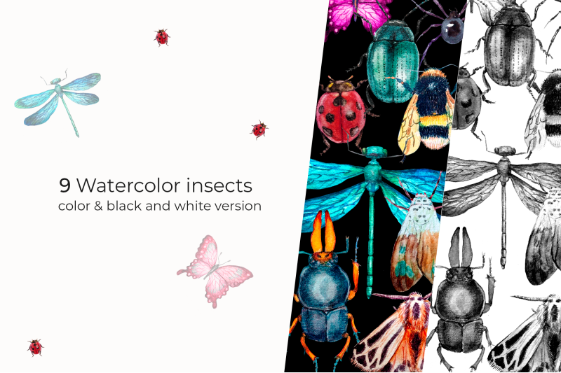 watercolor-insect-cliparts