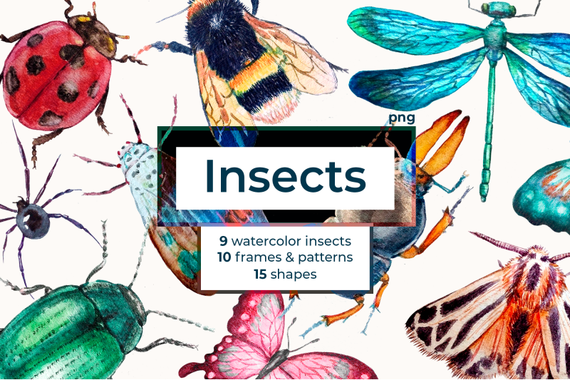 watercolor-insect-cliparts
