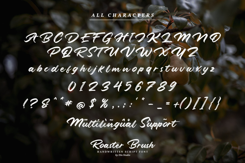 roaster-brush-elegant-handwritten-font