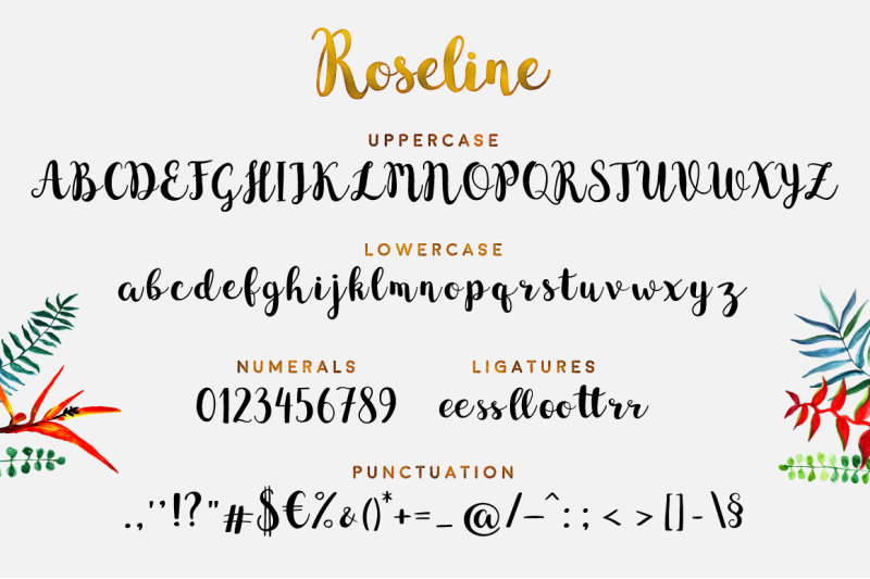 Roseline Cursive Font By Doffdog Thehungryjpeg Com