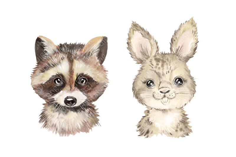 woodland-animals-watercolor-clipart-forest-animals