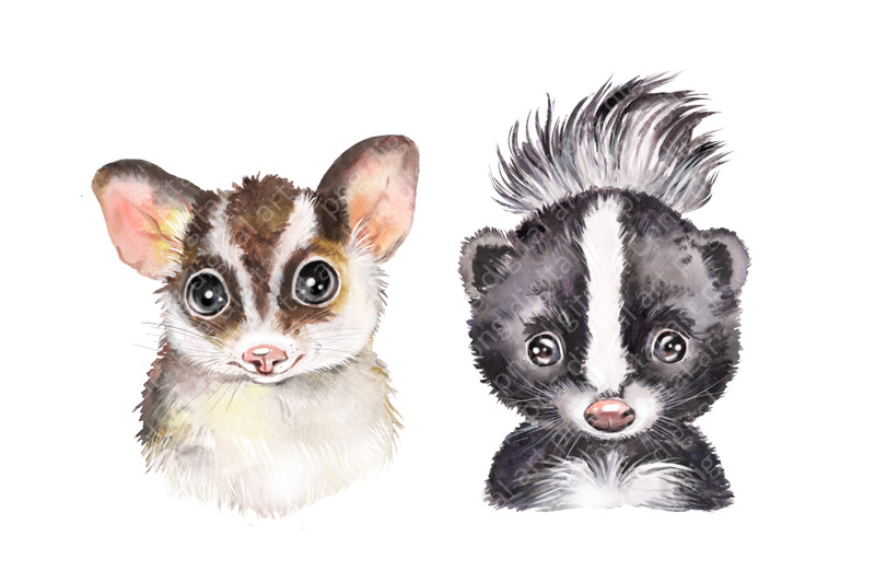 woodland-animals-watercolor-clipart-forest-animals