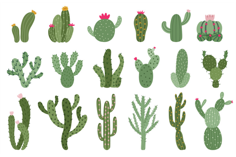 cute-cactus-succulents-and-cacti-flower-green-prickly-desert-house-p