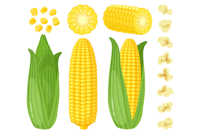 cartoon-corn-maize-vegetables-golden-sweet-corn-cob-popcorn-and-cor