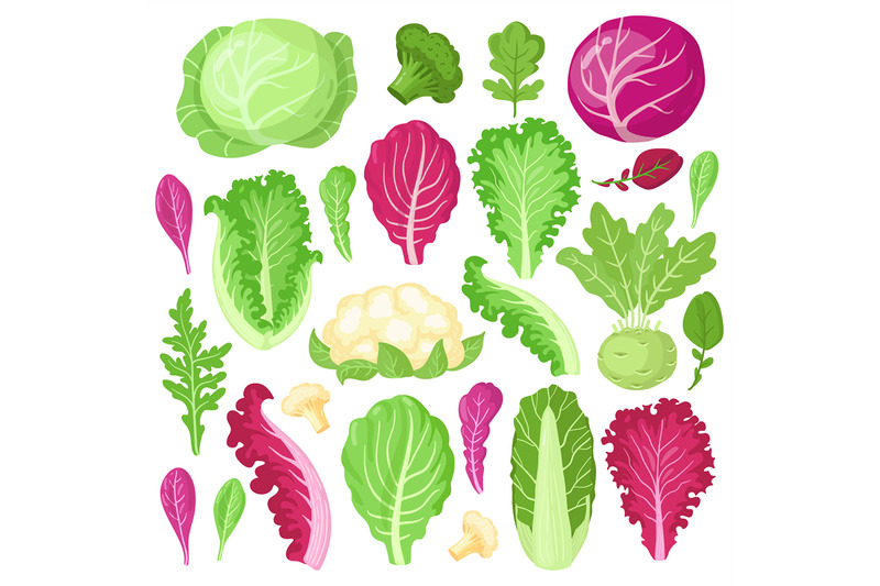 cartoon-cabbage-cauliflower-kale-broccoli-and-lettuce-leaves-organ