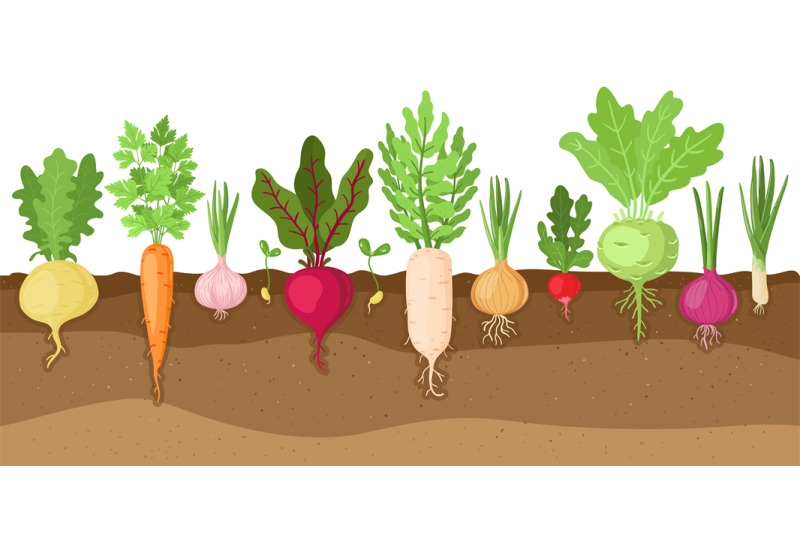 planted-vegetables-cartoon-root-growing-vegetables-veggies-fibrous-r