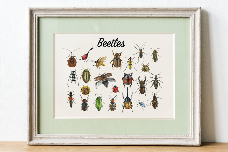 beetles-abc-posters