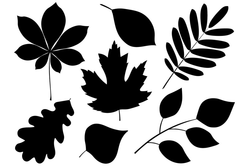 collection-leaves-silhouette-autumn-leaves-vector-illustration