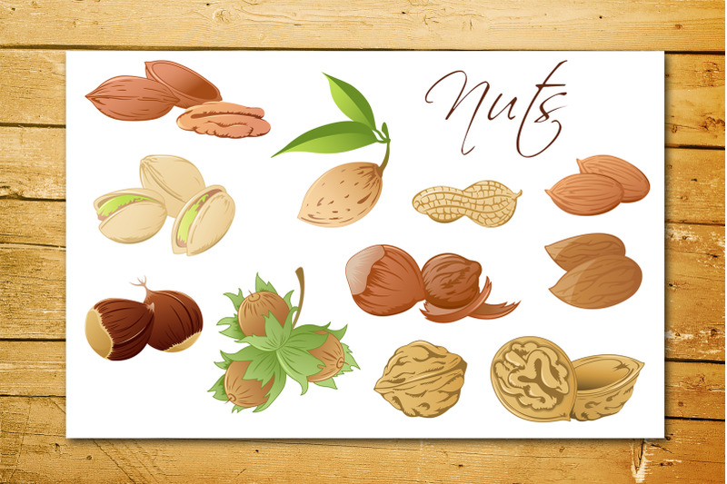 set-of-various-nuts