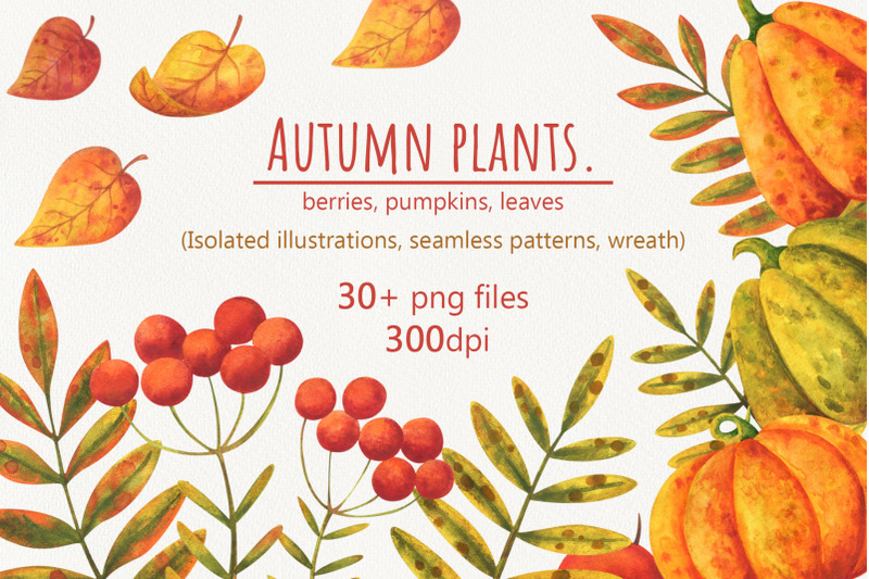 autumn-plants-watercolor-collection