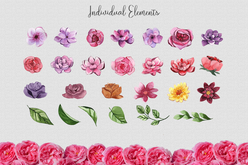 floral-watercolor-set-png-illustrations
