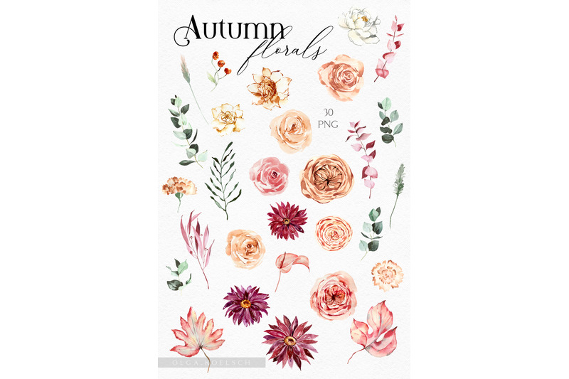 modern-watercolor-floral-autumn-clipart-boho-hand-drawn-flowers