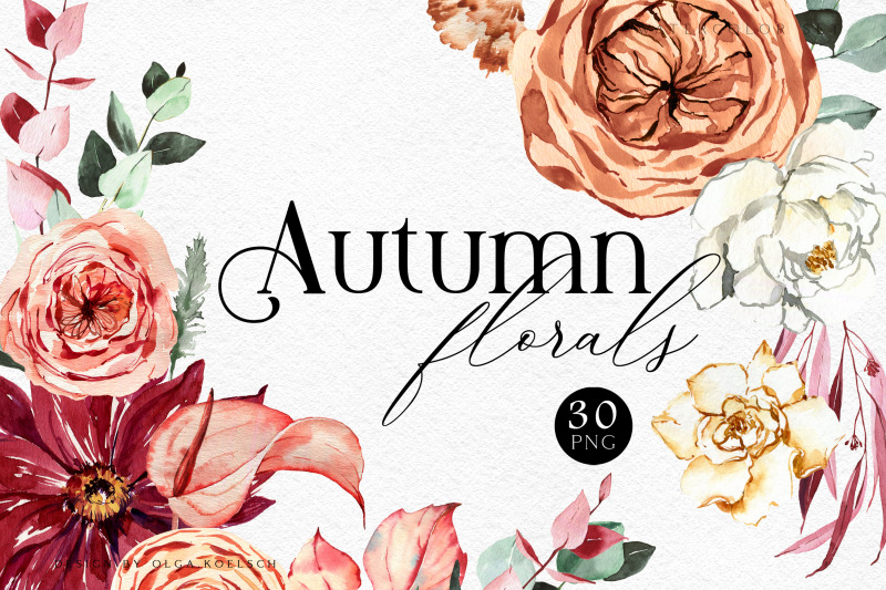 modern-watercolor-floral-autumn-clipart-boho-hand-drawn-flowers