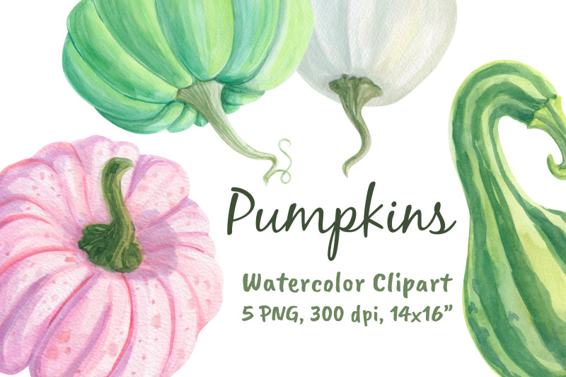 pink-pumpkins-sticker-clipart-png-watercolor