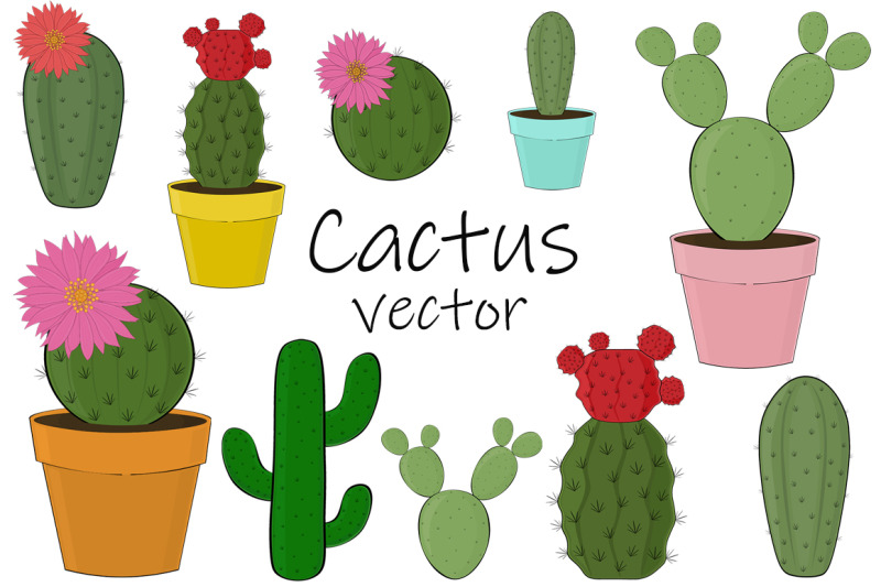cactus-vector-cactus-clipart-floral-cactus-svg-illustration