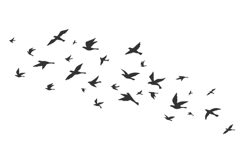 flying-bird-free-birds-flock-in-flight-black-silhouettes-tattoo-imag