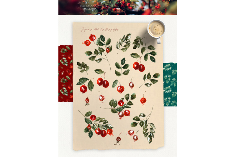 watercolor-autumn-boho-clipart-with-red-berries-and-hand-drawn-floral