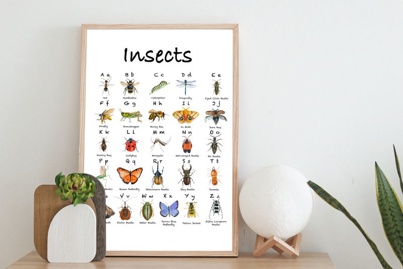 watercolor-insects-abc-posters