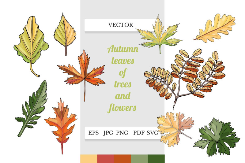 autumn-leaves-clipart-leaves-svg-fall-leaves-art