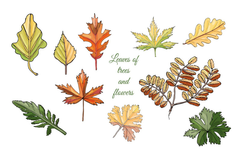 autumn-leaves-clipart-leaves-svg-fall-leaves-art
