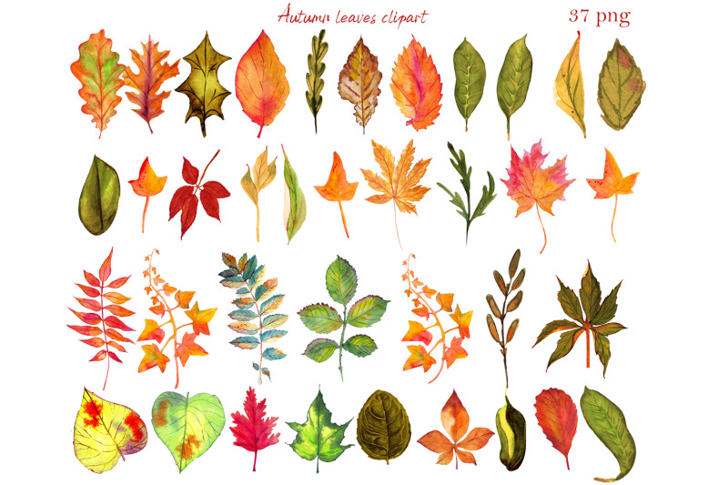 autumn-leaves-clipart