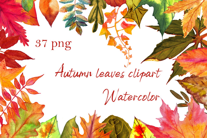 autumn-leaves-clipart