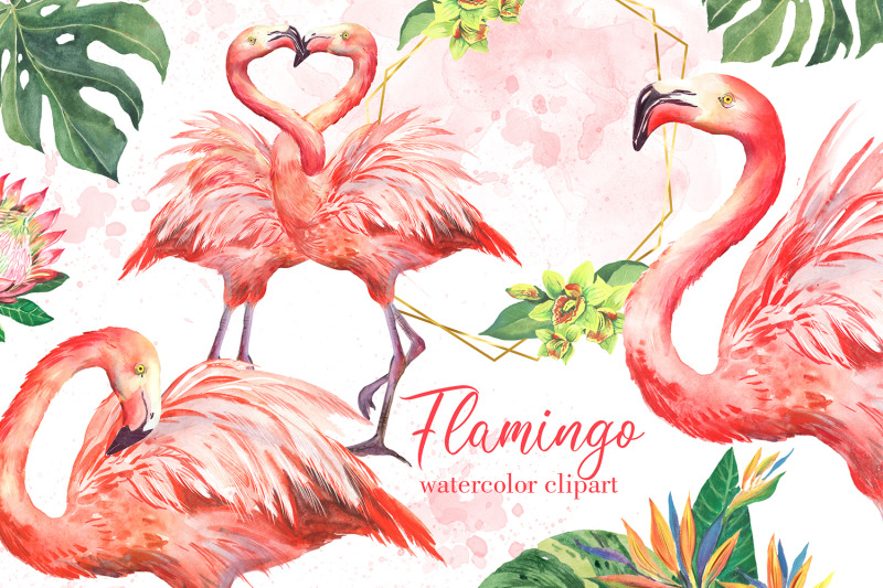 pink-flamingos-watercolor-clipart-tropical-birds-and-flowers-floral
