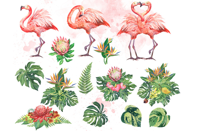 pink-flamingos-watercolor-clipart-tropical-birds-and-flowers-floral