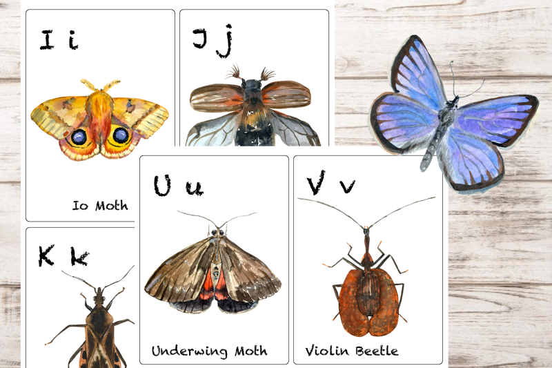 watercolor-abc-insects-flashcards
