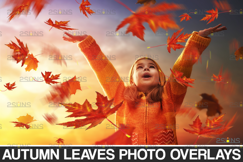 autumn-leaf-overlay-amp-photoshop-overlay