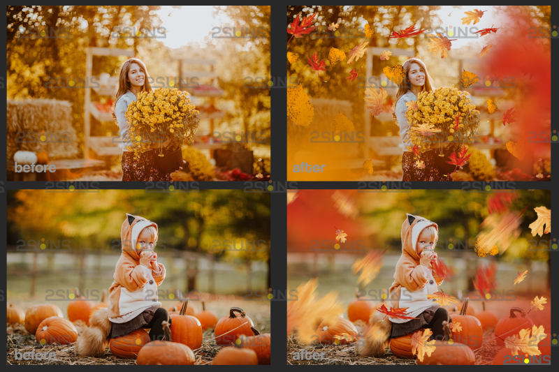 autumn-leaf-overlay-amp-photoshop-overlay
