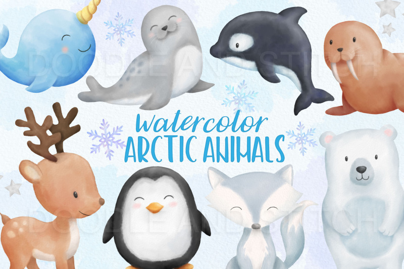 arctic-animals-watercolor-illustrations