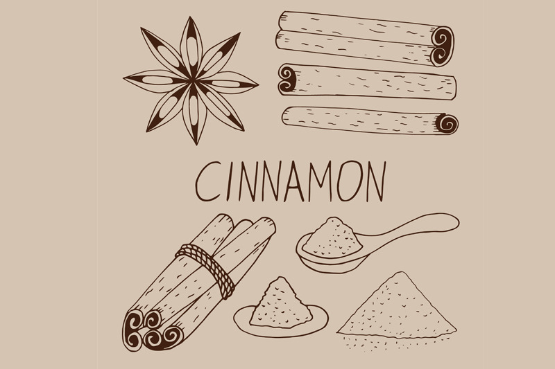cinnamon-hand-drawn-doodle-vector-set