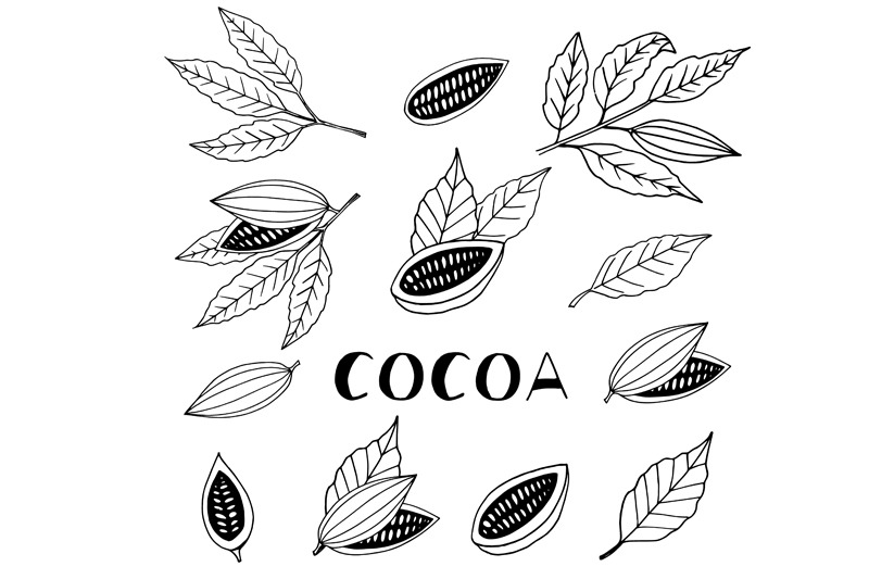 cacao-hand-drawn-doodle-vector-set