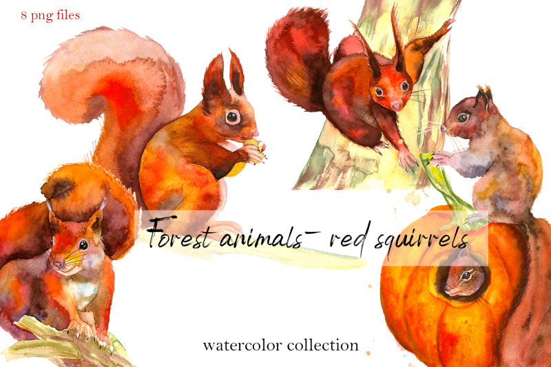 forest-animals-red-squirrels-watercolor-collection-clipart